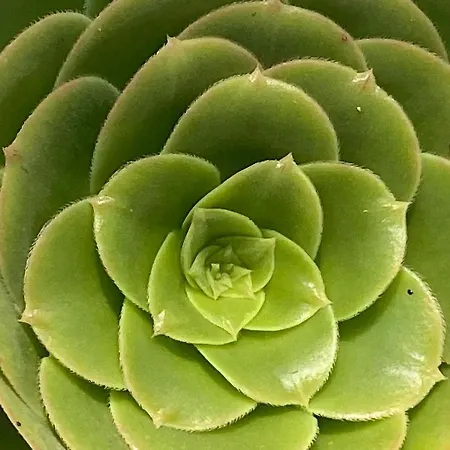 L'aubepine, Centre Сasa de vacaciones Les Herbiers