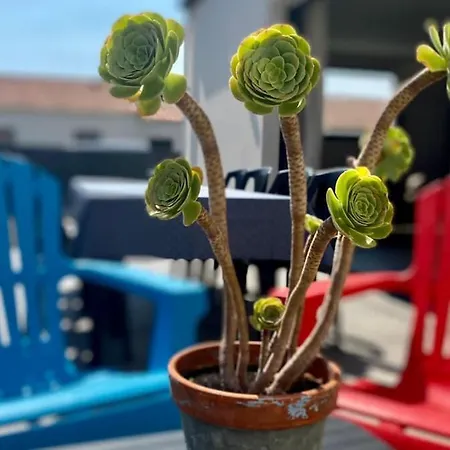 Сasa de vacaciones L'aubepine, Centre *