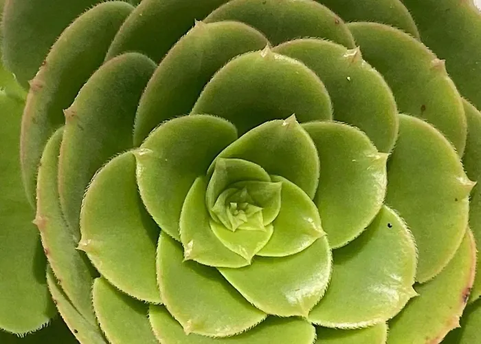 L'aubepine, Centre Holiday home Les Herbiers