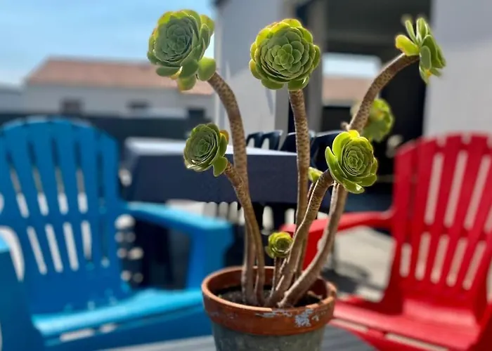 Holiday home L'aubepine, Centre *